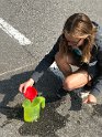 UNADJUSTEDNONRAW_thumb_d95