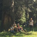 IMG_3768