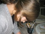 IMG_0864.jpg