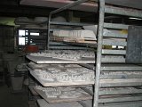 IMG_0867.jpg
