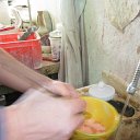 IMG_0962