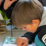 IMG_8920
